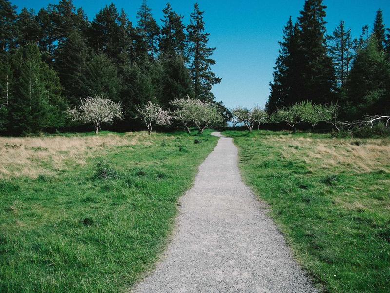 zoho PC版をダウンロード